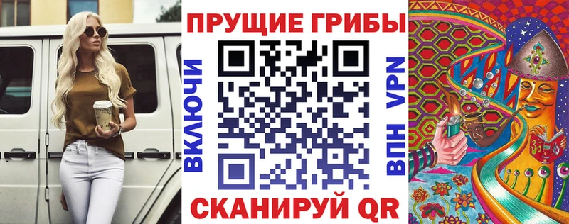 как найти закладки  Мариинский Посад  Галлюциногенные грибы MAGIC MUSHROOMS 