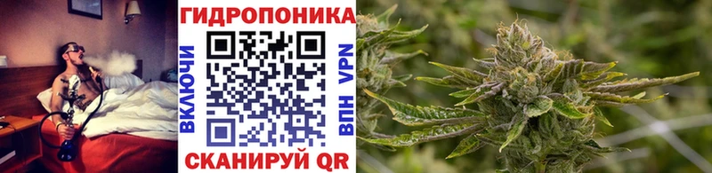 Бошки марихуана семена  darknet официальный сайт  Мариинский Посад 